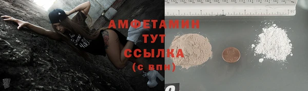 PSILOCYBIN Рославль