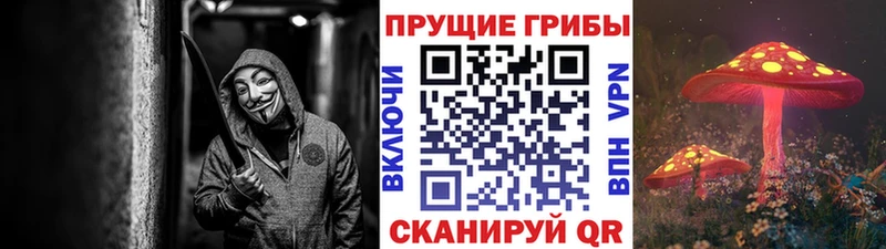 Псилоцибиновые грибы Cubensis  Юрьевец 